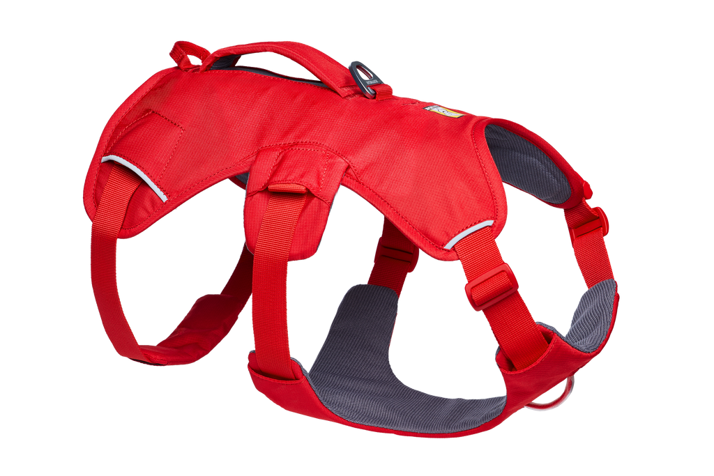 Web Master™ Dog Harness with Handle