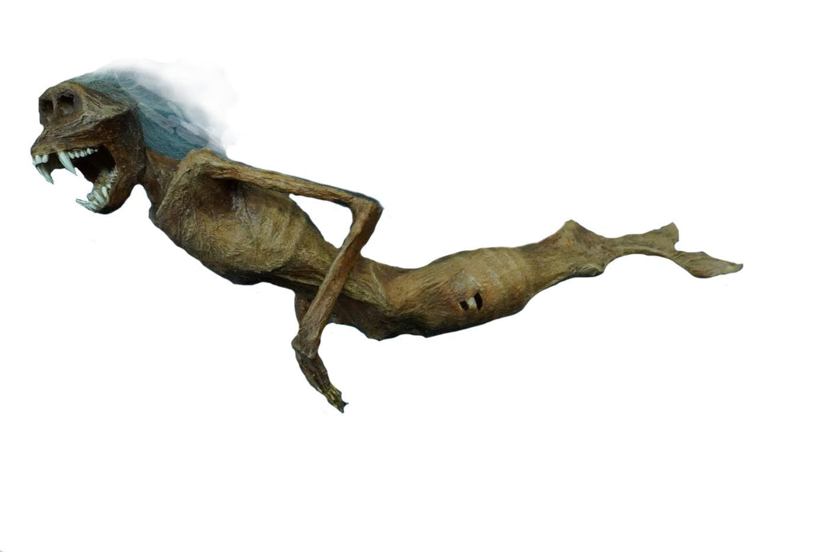 3 Ft. Feejee Mermaid