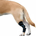 Dog Knee Brace for Back Leg, ACL Support for Large Dogs, Adjustable Dog Leg Brace for Hind Leg Injuries, Canine Joint Wrap for Arthritis Recovery (L)