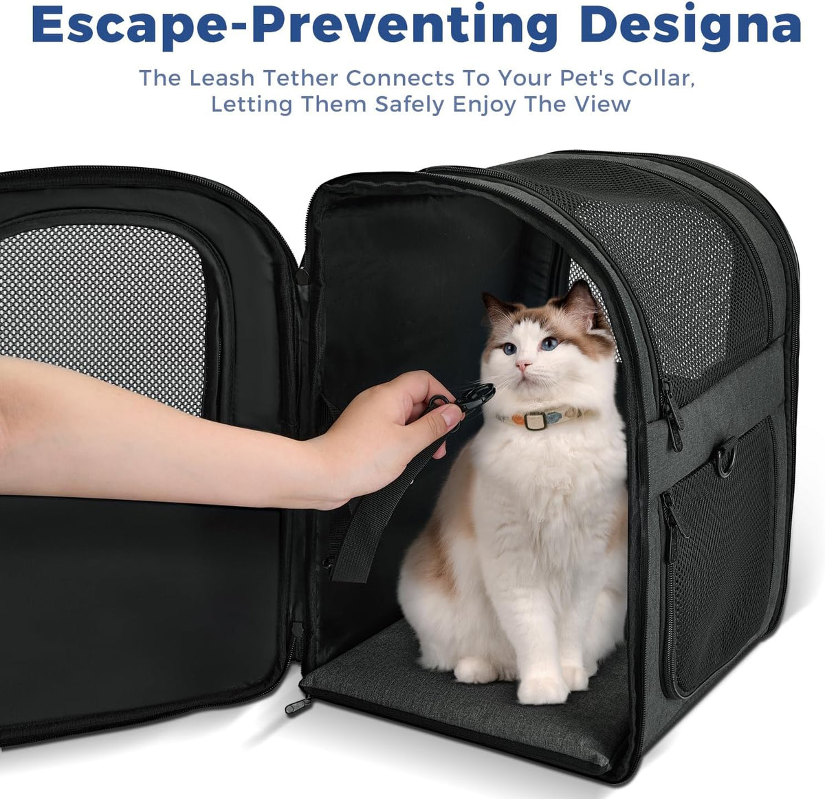 Apollo Walker Dog & Cat Carrier Backpack for 4-18lb Pets - Ventilated Safe Design with Padded Back Support, Breathable Mesh Pet Backpack for Hiking, Travel, Outdoor (Black)