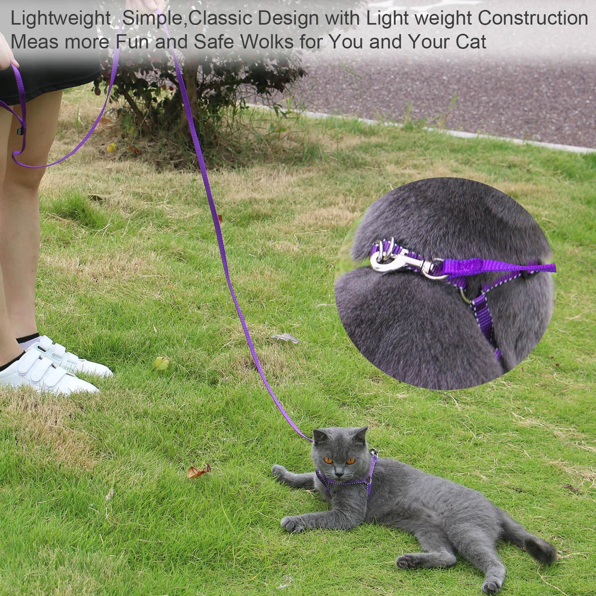 AMAGOOD 6 FT Cat Leash, Strong and Durable Traditional Style Leash with Easy to Use Collar Hook,Cat Lead Great for Cats (3/8 in x 6 ft,Black and Pruple(2-Pack))