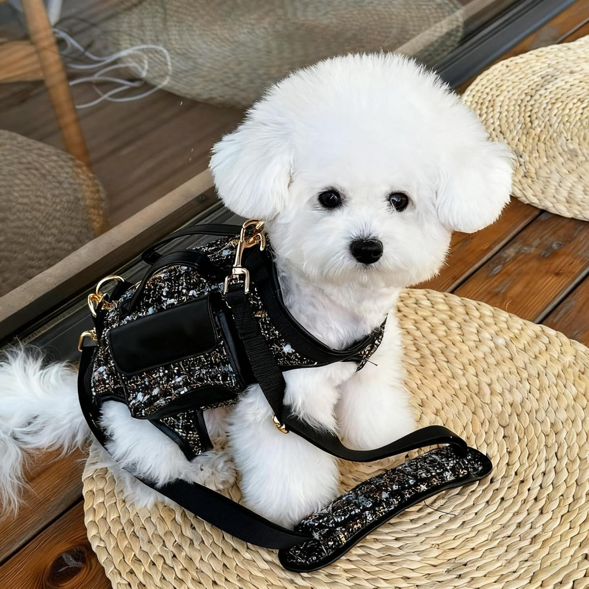 Dog Lift Harness Backpack for Small Dogs, Adjustable Straps Dog Sling Carrier for Hiking, Travel, Outdoor – Black Small