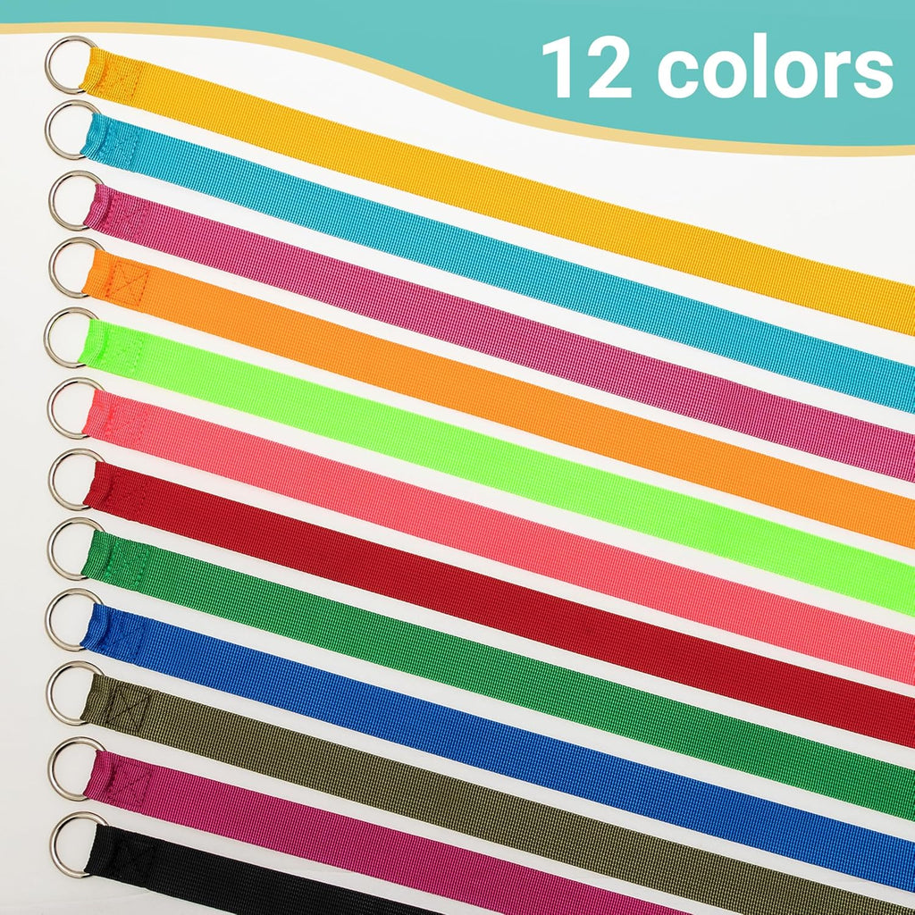 Slip Lead Dog Leash, 12 Pack 6 FT Short Leash with O-Ring for Small, Medium & Large Dogs, Pet Leads Leashes Bulk for Walking, Training, Rescues, Grooming, Shelter, Running Outdoor