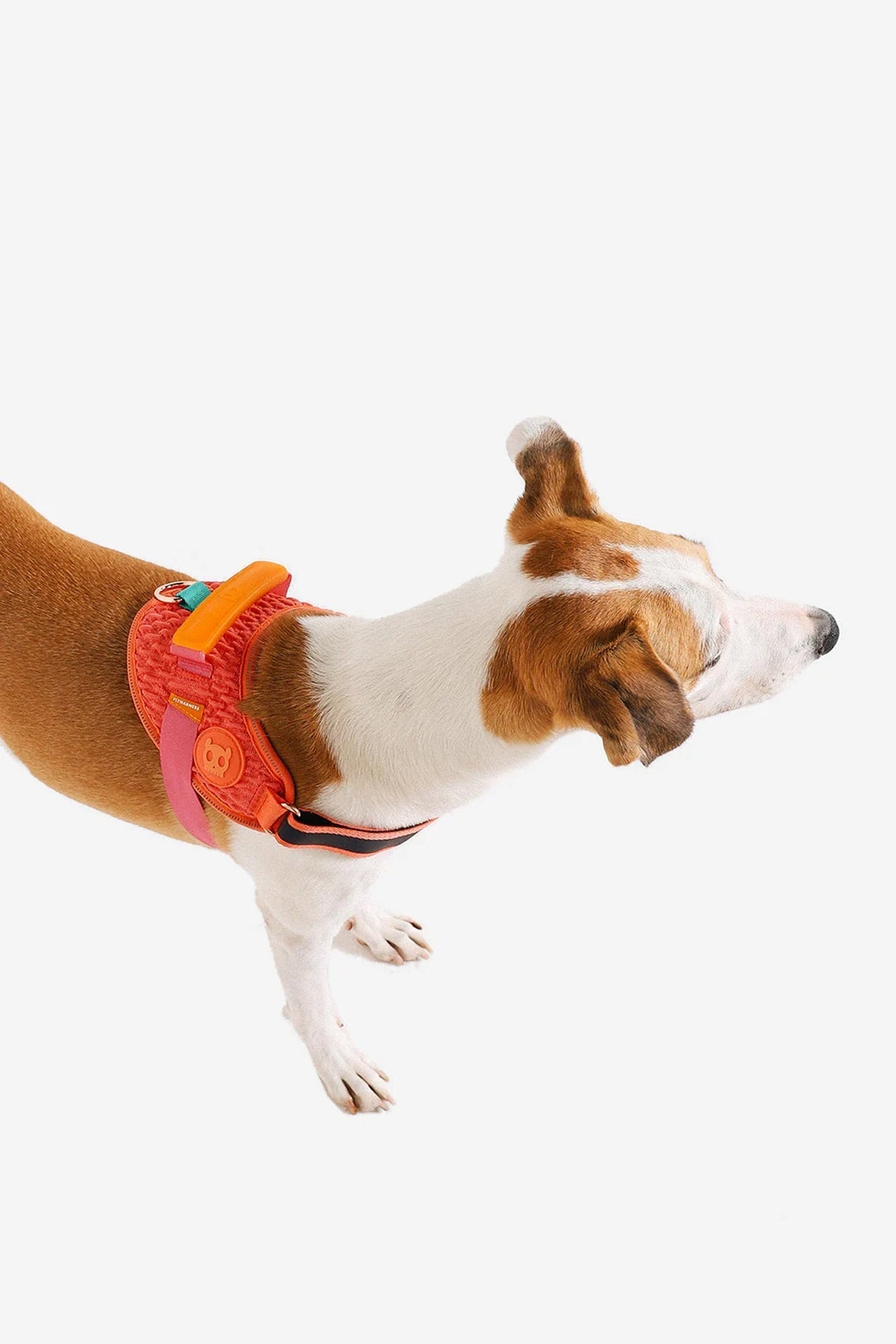 Zee.Dog Gazelle Dog Fly Harness