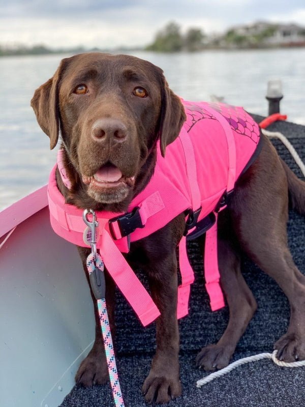 Mermaid Dog Life Jacket