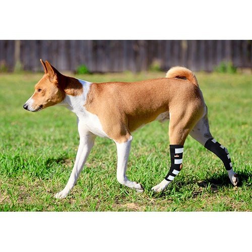 NeoAlly Dog Rear Leg Hock Brace with Metal Spring Strips for Large Dogs [Long Version] (Pair)